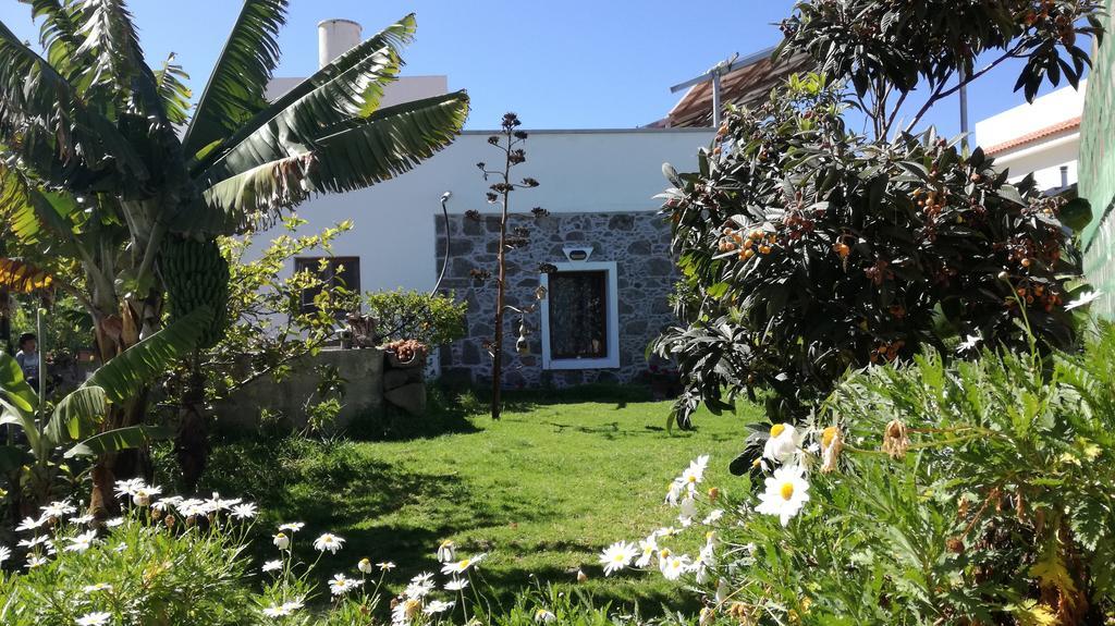 Villa Canaria Piscina Jacuzzi Jardin Santa Maria de Guia de Gran Canaria Luaran gambar