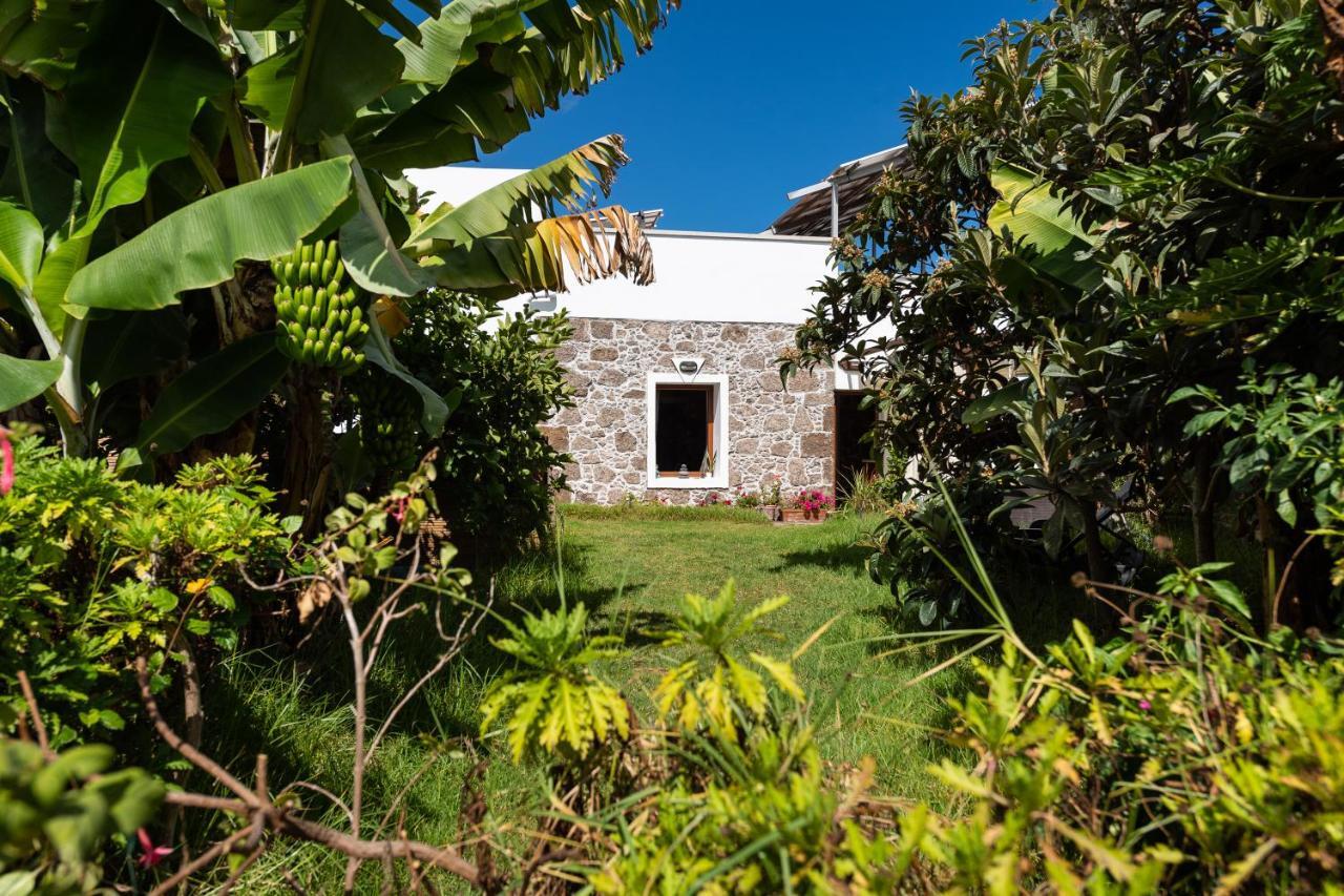 Villa Canaria Piscina Jacuzzi Jardin Santa Maria de Guia de Gran Canaria Luaran gambar